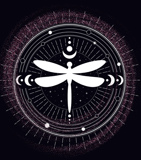 Dragonfly Infusions Logo
